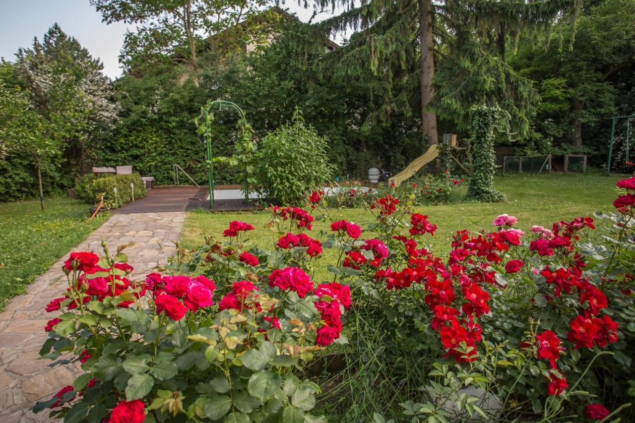 Huebsches Privatzimmer Mit Bad Perchtoldsdorf Kültér fotó